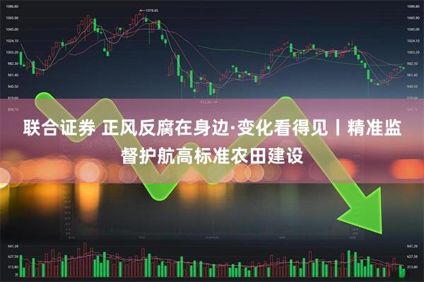 联合证券 正风反腐在身边·变化看得见丨精准监督护航高标准农田建设